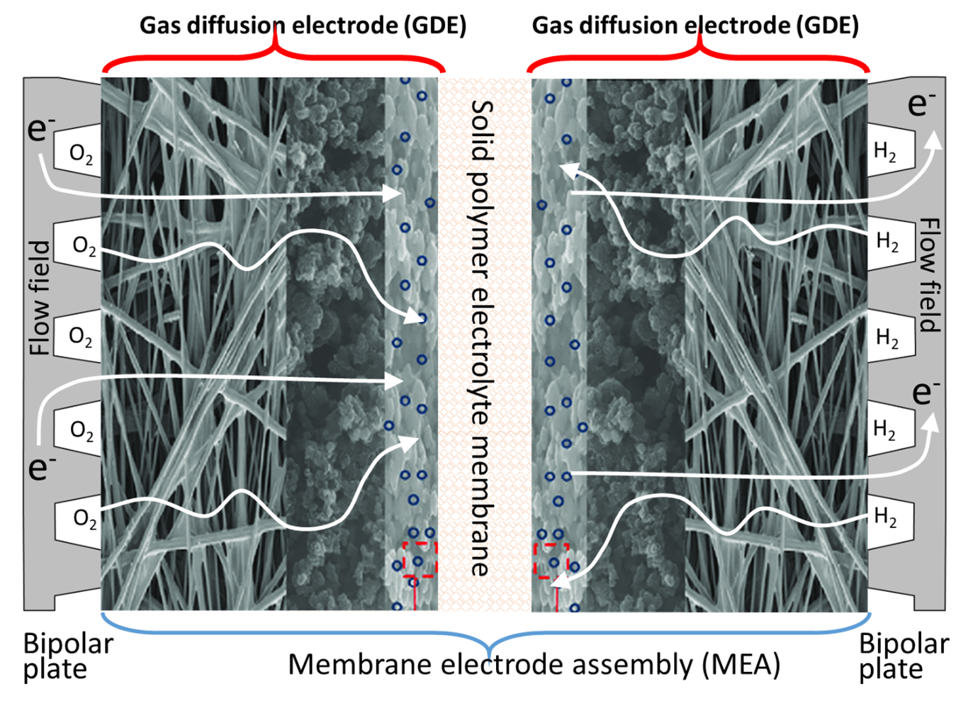 Membrane electrode assembly, GDE